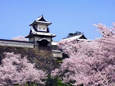Kanazawa Dil Eğitimi