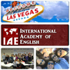 International Academy of English - Sahara Resimleri 5