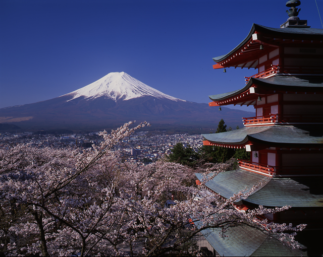 Japonca Dil Eğitimi