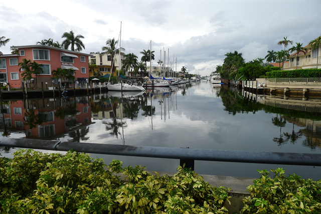 Fort Lauderdale Dil Eğitimi